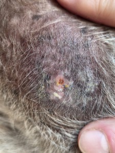 Hier nur noch ein winzig kleiner gelber Fleck