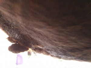 IMG_20190428_183529.jpg (2.03 MiB) 3832 mal betrachtet Andere Seite