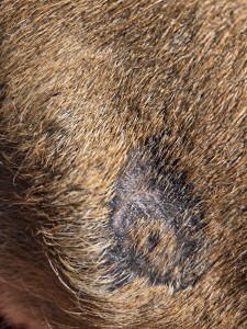 Abgeheilt auch im Gesicht :-)