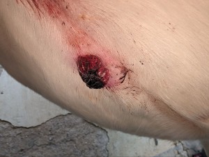 2.0 Vor der Behandlung meines Mannes