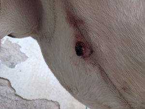 2.0 Vor der Behandlung meines Mannes