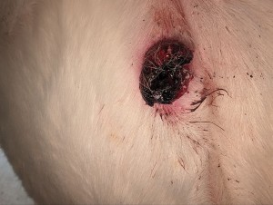 2.0 Vor der Behandlung meines Mannes