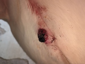 2.0 Vor der Behandlung meines Mannes