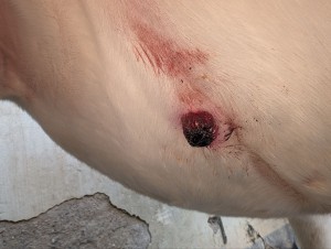 2.0 Vor der Behandlung meines Mannes