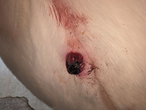 2.0 Vor der Behandlung meines Mannes