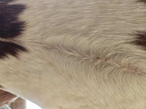 20260501_115001.jpg