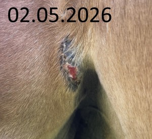 2026-05-02.jpg