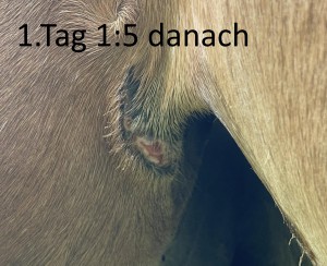 2026-05-04-2.jpg