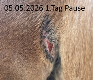 2026-05-05.jpg