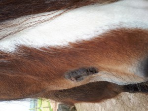 20190501_182043.jpg (5.01 MiB) 3349 mal betrachtet Heute, 1. Mai