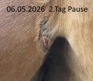 2026-05-06.jpg