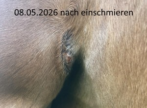 2026-05-08-2.jpg
