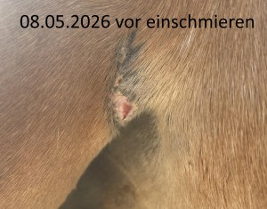 2026-05-08-1.jpg