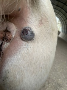 Vor Behandlung