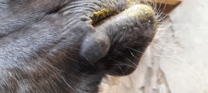 20260509_151247.jpg