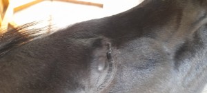 20260509_151130.jpg