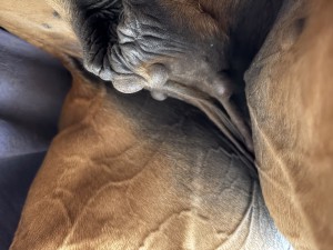 IMG_6421.jpeg