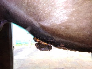 IMG_20190503_071414.jpg (2.17 MiB) 3810 mal betrachtet Heute morgen