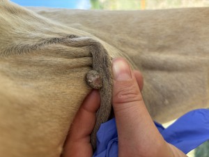 IMG_4846.jpeg