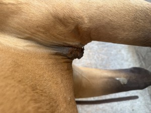Zum Vergleich ein Foto vom Sonntag