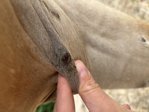IMG_5048.jpeg