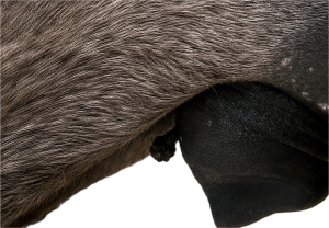 IMG_1131.png