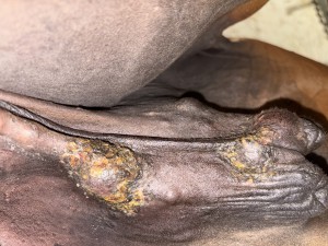 IMG_7334.jpeg