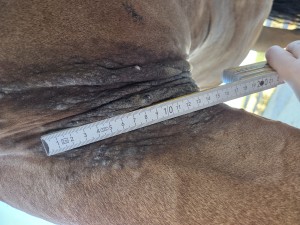 20260808_185845.jpg