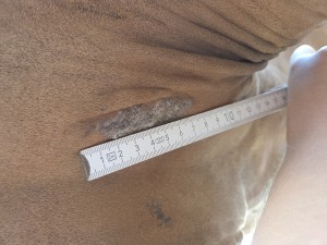 20260808_185901.jpg