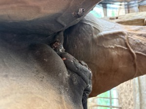 IMG_7468.jpeg