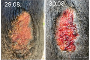 IMG_4957.JPG