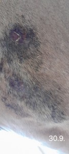 20260930_183229.jpg