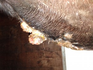 IMG_20190511_185047.jpg (3.29 MiB) 3090 mal betrachtet Heute Abend