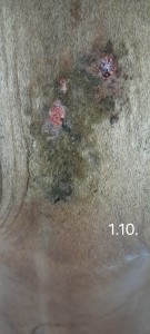 20261001_170717.jpg