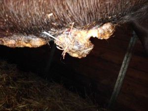 IMG_20190511_185117.jpg (2.54 MiB) 3090 mal betrachtet Heute Abend