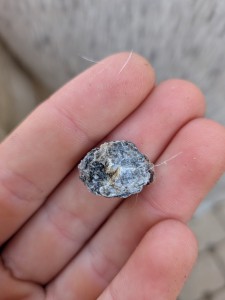 PXL_20261005_135422340.MACRO_FOCUS.jpg