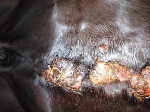 IMG_20190514_192707.jpg (4.34 MiB) 3077 mal betrachtet Mal von unten