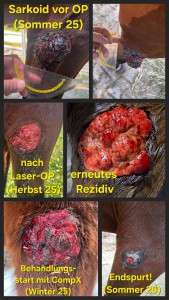 Verlauf bei Rezidiv