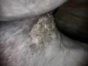 20190402_133150.jpg
