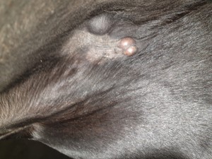 20191009_181420.jpg (5.16 MiB) 3520 mal betrachtet 9.10.19