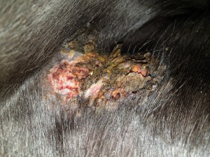 20191019_142115.jpg (6.42 MiB) 3519 mal betrachtet 19.10.19