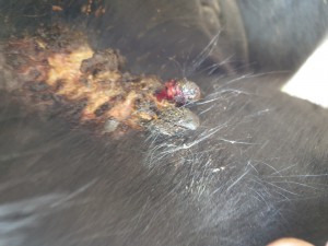 20191026_130713.jpg (3.53 MiB) 3519 mal betrachtet 26.10.19