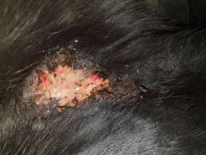 20191028_185835.jpg (6.25 MiB) 3519 mal betrachtet 29.10.19