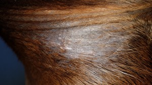 20191129_161527.jpg (7.9 MiB) 5568 mal betrachtet Achsel