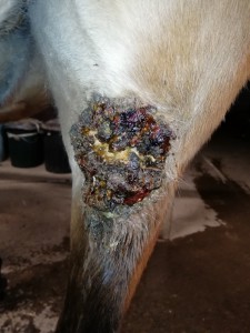 IMG_20191121_193550.jpg (3.43 MiB) 3363 mal betrachtet So siehts zur Zeit aus. Iiiilghh...