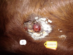 received_2869575666407208.jpeg (206.06 KiB) 4140 mal betrachtet received_2869575666407208.jpeg