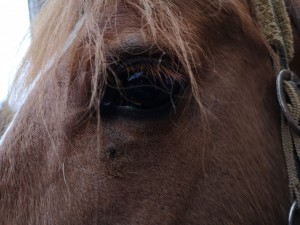 IMG_20200202_165846.jpg (3.2 MiB) 1965 mal betrachtet IMG_20200202_165846.jpg