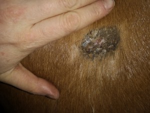 IMG_20200202_162154.jpg (3.22 MiB) 1965 mal betrachtet IMG_20200202_162154.jpg