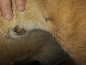 IMG_20200202_162432.jpg (2.48 MiB) 1965 mal betrachtet IMG_20200202_162432.jpg