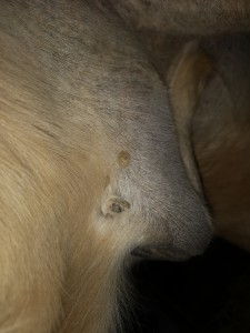 IMG_20200202_162345.jpg (2.8 MiB) 1965 mal betrachtet IMG_20200202_162345.jpg